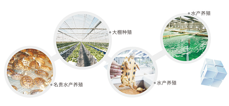 養殖恒溫熱水工程解決方案
